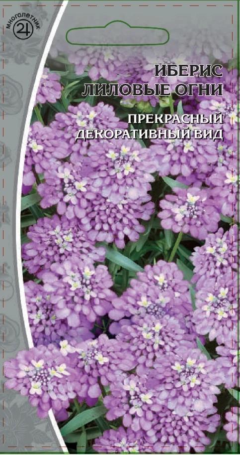 Иберис Лиловые огни цв/п 0,25 гр