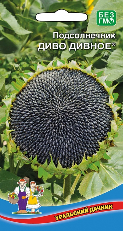 Подсолнечник Диво Дивное (УД) 5 гр цв.п.