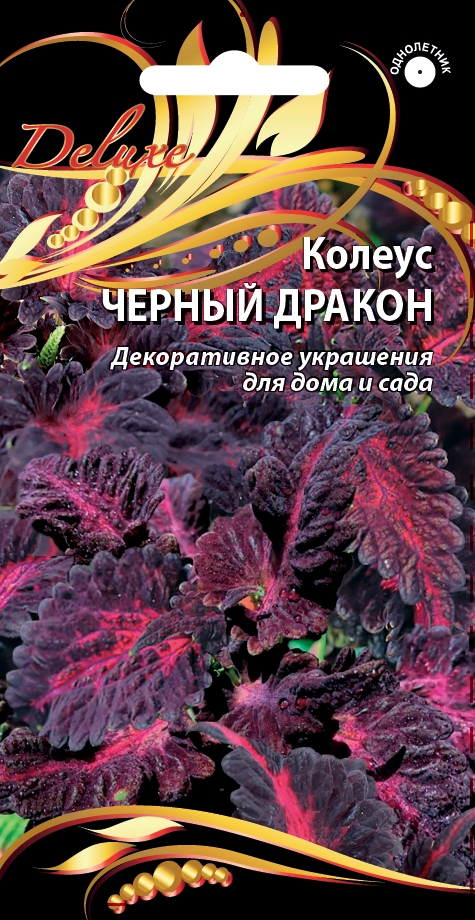 

Колеус Черный дракон 10 шт