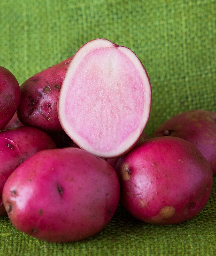 

Картофель Сюрприз, суперэлита