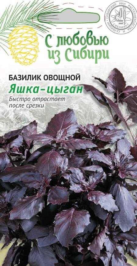 

Базилик овощной Яшка-Цыган (Сибирская серия ) 0,3 гр цв.п.
