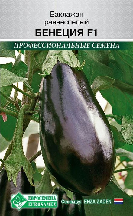 Баклажан Бенеция F1 (Enza Zaden) 7шт цв.п.