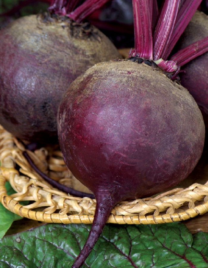 

Свекла Русская односемянная (УД) 2 гр цв.п