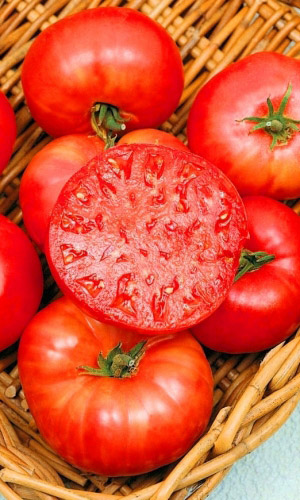 Томат Бифштекс-мясистого типа (УД) 20 шт цв.п