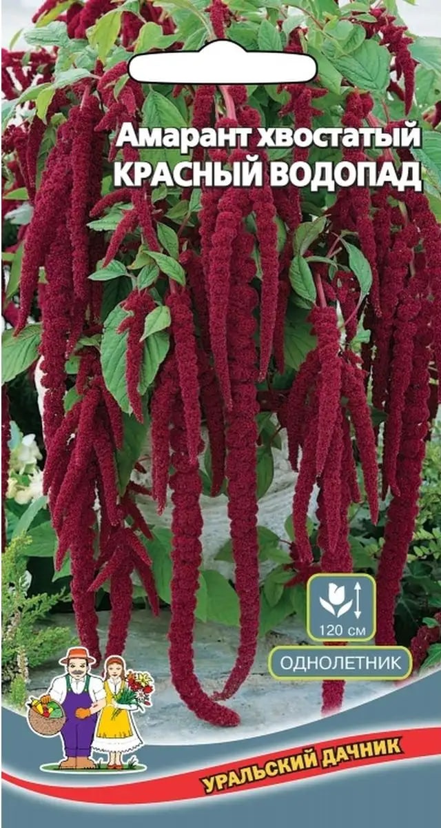 

Амарант Красный водопад (УД) 0,1 гр цв п