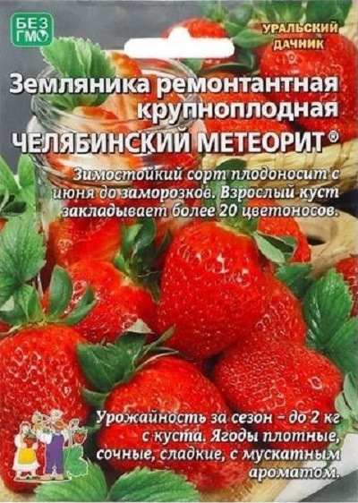 Земляника Челябинский метеорит - ремонтантная (УД) 10 шт