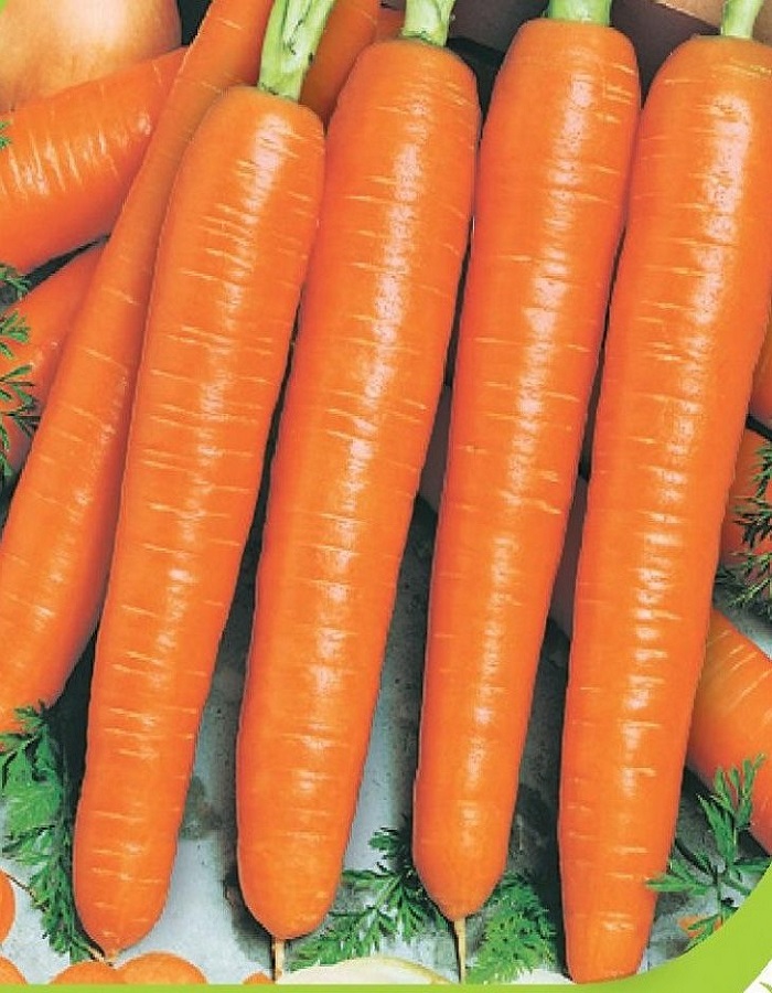 Морковь Нарбонне F1 (Bejo Zaden) 0,5 г цв.п. набор семян моркови морковь нарбонне f1 наполи f1 самсон ройал форто 4 упаковки агрофирма поиск