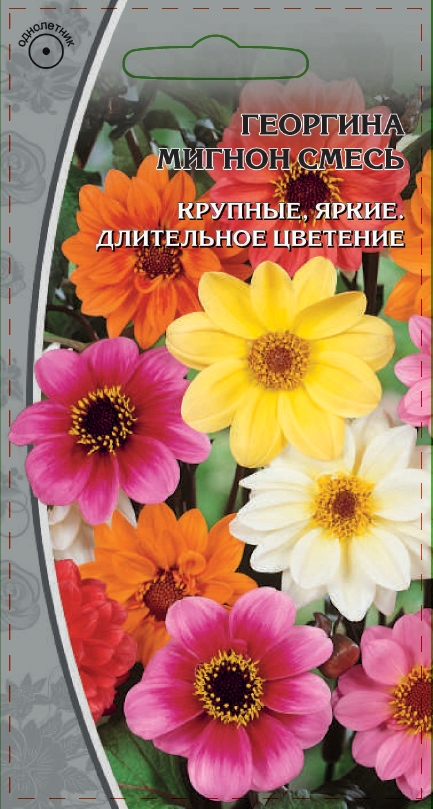 Георгина Мигнон смесь 03 гр 34₽