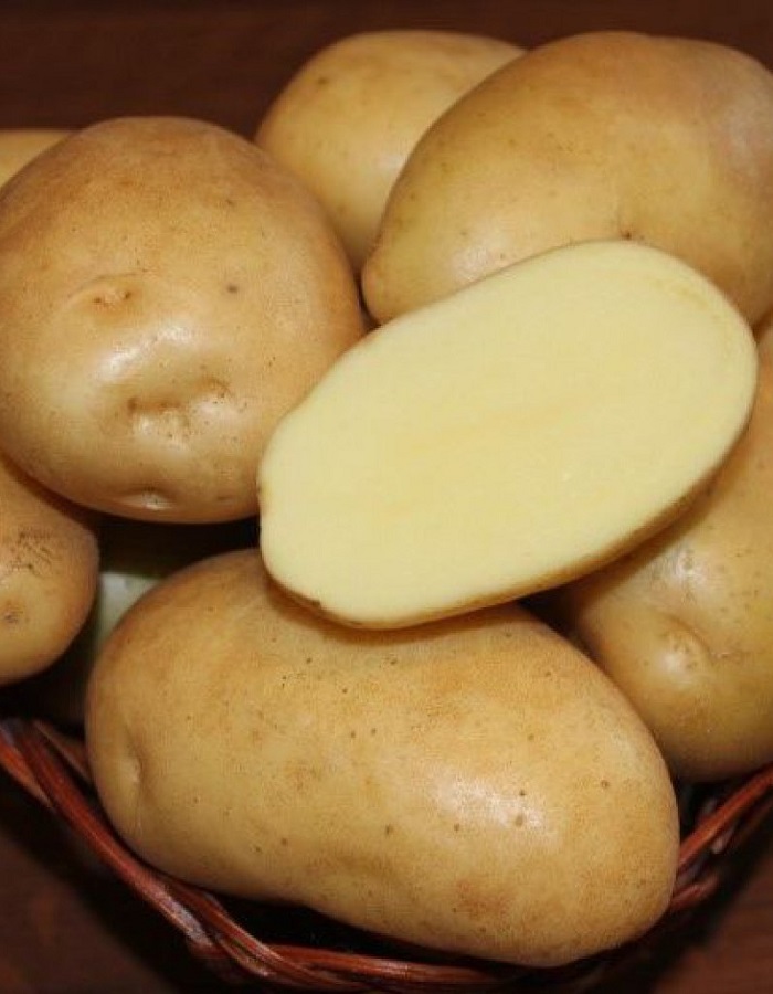 Картофель Гулливер, суперэлита 1 кг