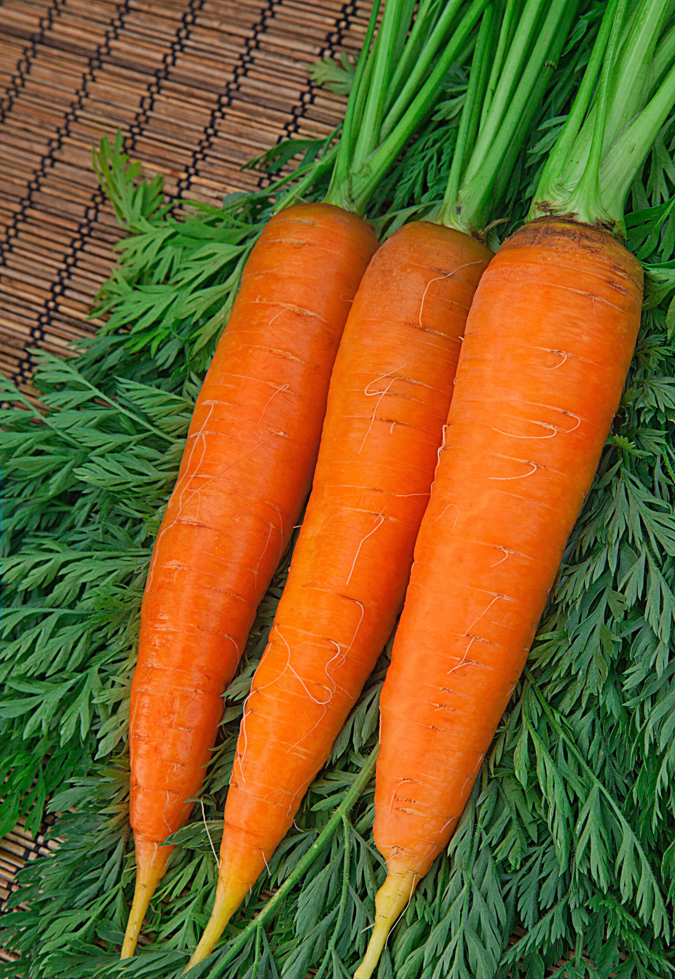Морковь Шантенэ Роял (Гранулы) 300 шт семена морковь столовая шантенэ 2461 среднеспелые гранулы 300 шт упак х 3 шт