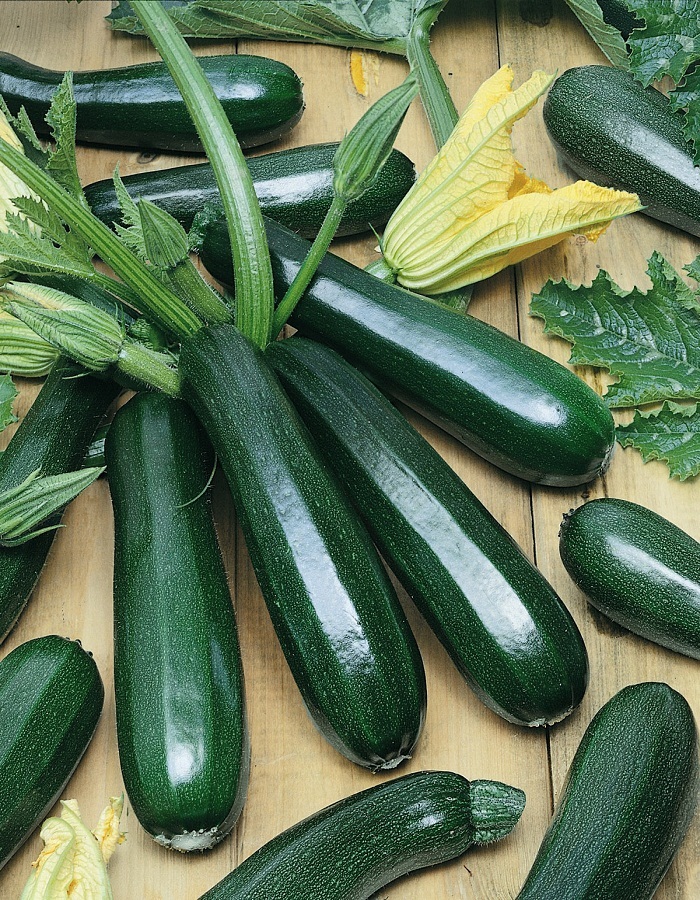 

Кабачок Цуккини Черное золото 1 гр цв.п.