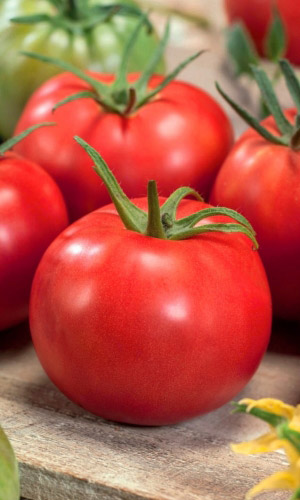 Томат Яблочный (УД) 20 шт цв п