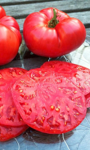 Томат Огородник (УД) 20 шт цв.п