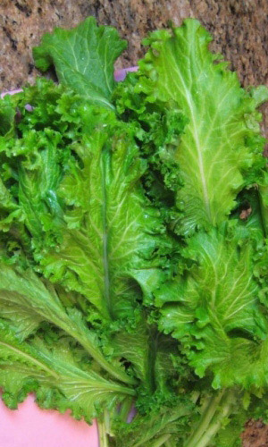 Горчица салатная Волнушка (УД) 1 гр цв.п