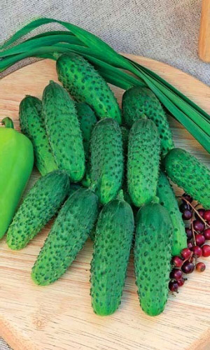 Огурец Желудь-корнишон F1 (УД) 10 шт цв.п