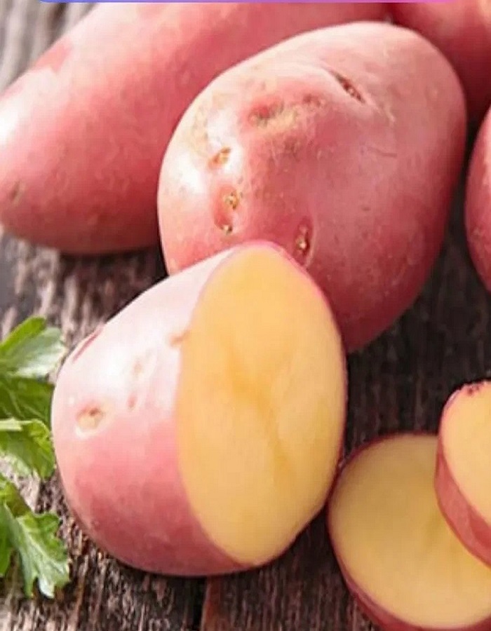 

Картофель Взрывной, элита