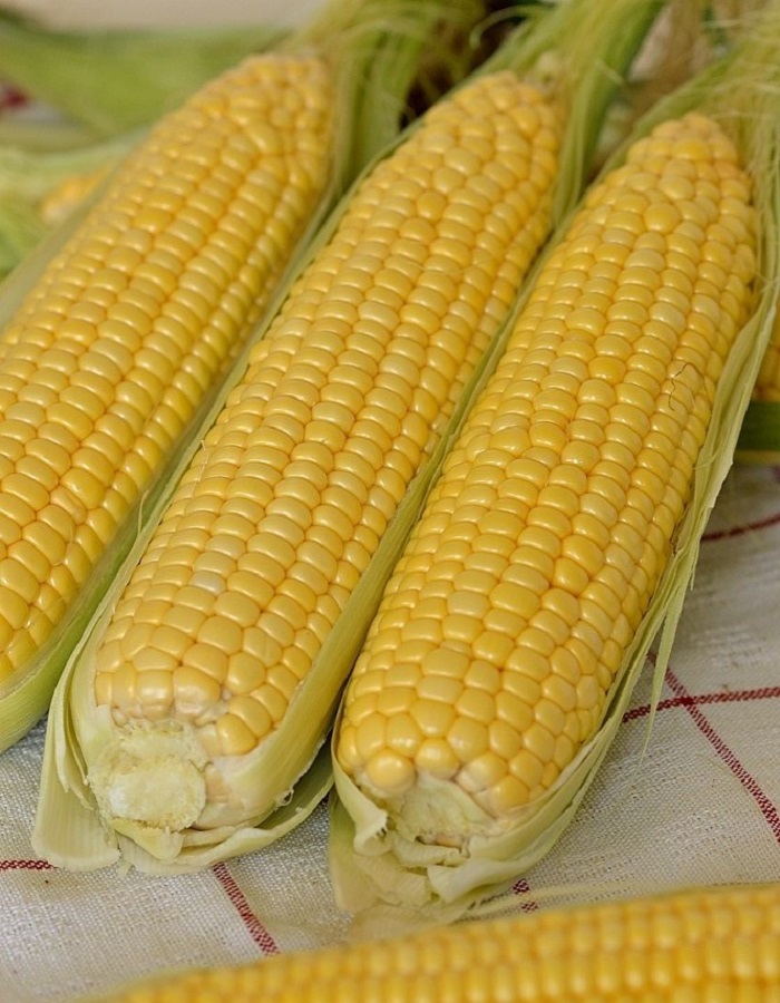 

Кукуруза Спирит F1 (Syngenta)10шт. цв.п.