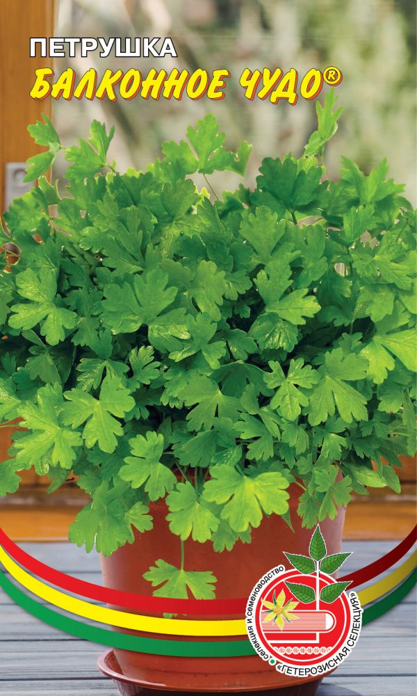 

Петрушка Балконное чудо (УД) 2 гр цв.п.