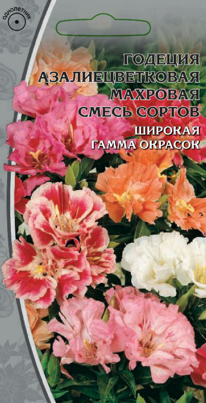 Годеция Азалиецветковая махровая смесь сортов 0,3 гр