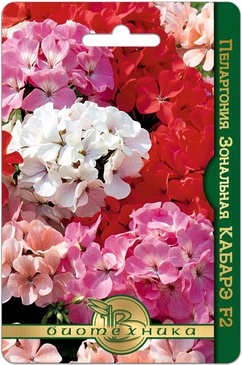 Пеларгония зональная Кабарэ F2 5 шт