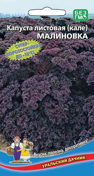 Капуста листовая (кале) Малиновка (УД) 0,1 гр цв.п.