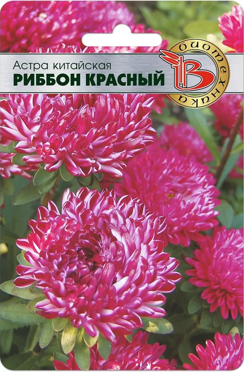 

Астра Риббон Рэд 30 шт