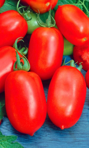 Томат Русский Деликатес - засолочный (УД) 0,1 г цв.п