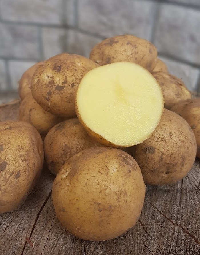 Картофель Метеор, суперэлита 2 кг картофель инноватор 2 кг