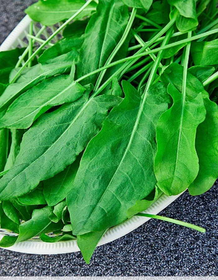 Щавель Широколистный 1 гр цвп 27₽