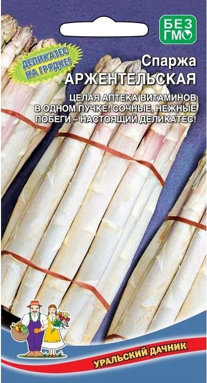 Спаржа Аржентельская (УД) 10 шт