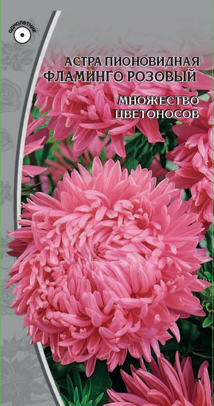 Астра Фламинго розовый 02 гр 43₽