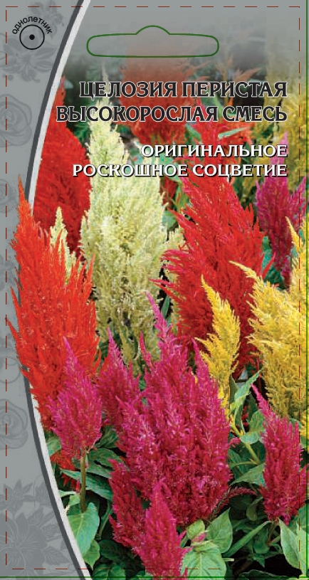 Целозия перистая Высокорослая смесь 0,5 гр
