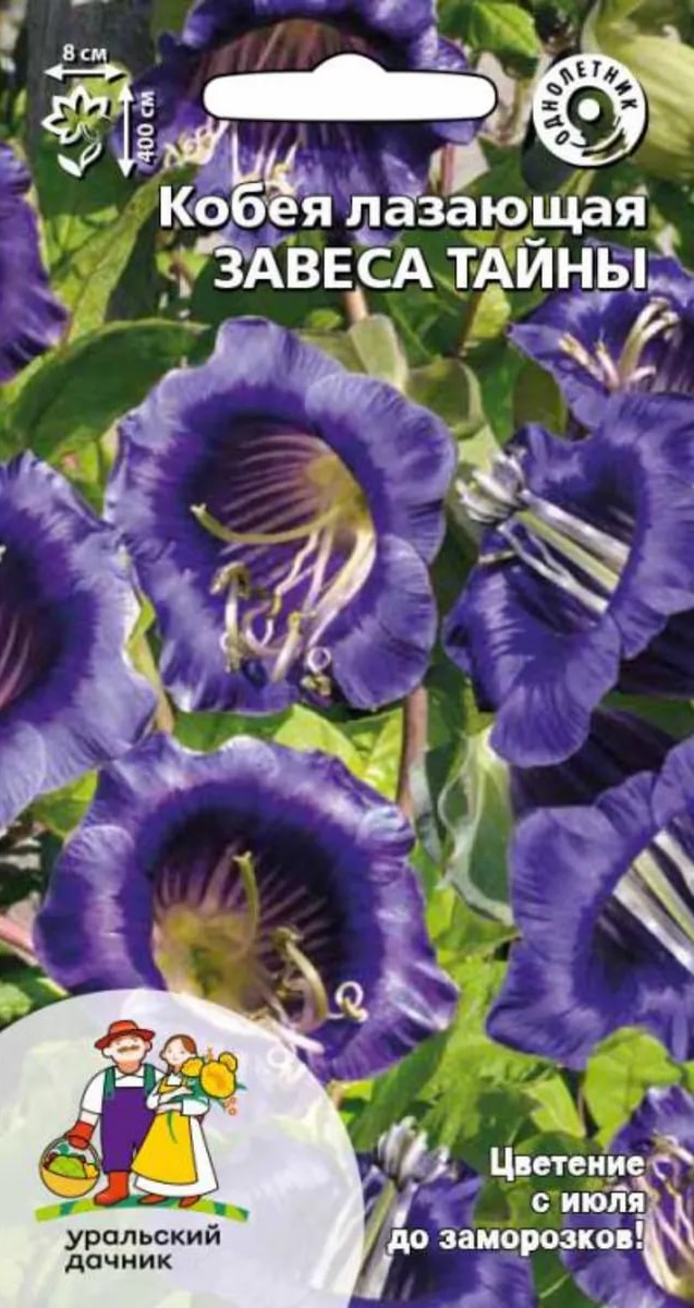 

Кобея лазающая Завеса тайны (УД) 3 шт цв п