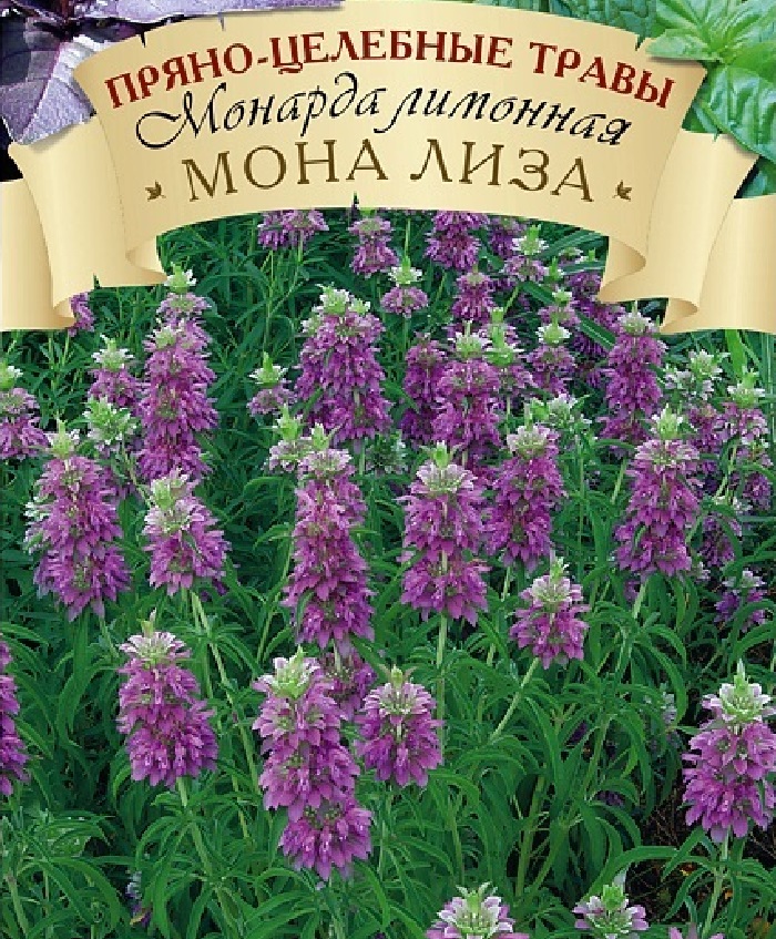 

Монарда лимонная Мона Лиза 0,1 г