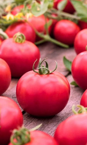 Томат Непасынкующийся Розовый (УД) 20 шт цв.п