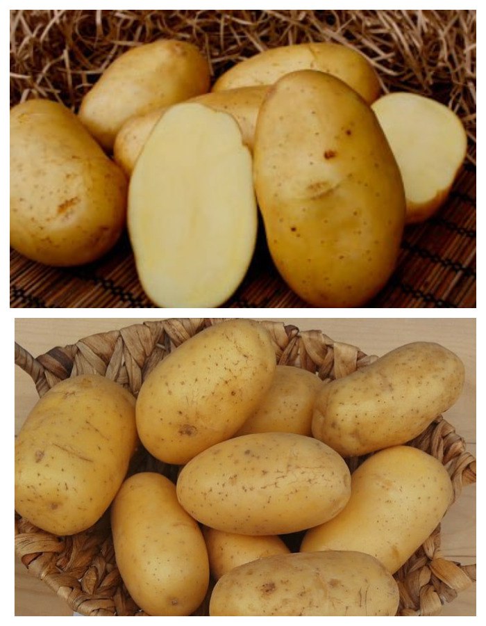 Набор Немецкой селекции 2 сорта (2 кг), Картофель семенной, Наборы картофеля