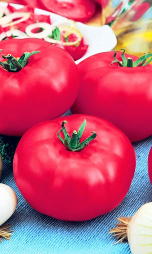 Томат Бакинские 622 (УД) цв.п.20 шт.