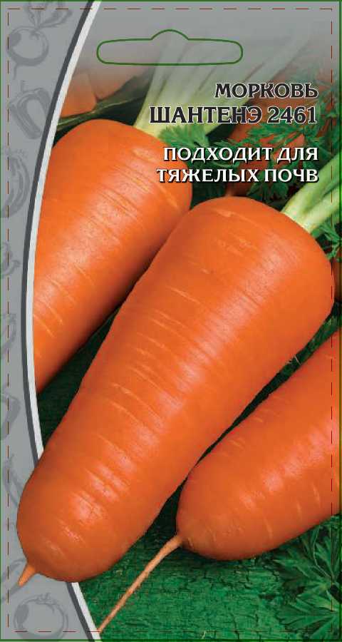 Морковь Шантенэ 2461 2 гр цв.п.
