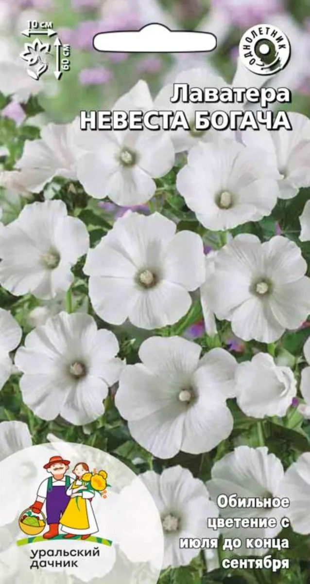 

Лаватера Невеста богача (УД) 0,2 гр цв п
