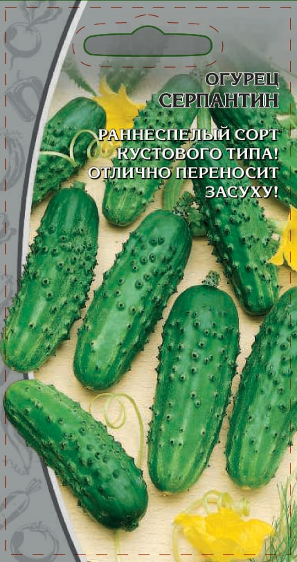

Огурец Серпантин 0,25 цв.п.