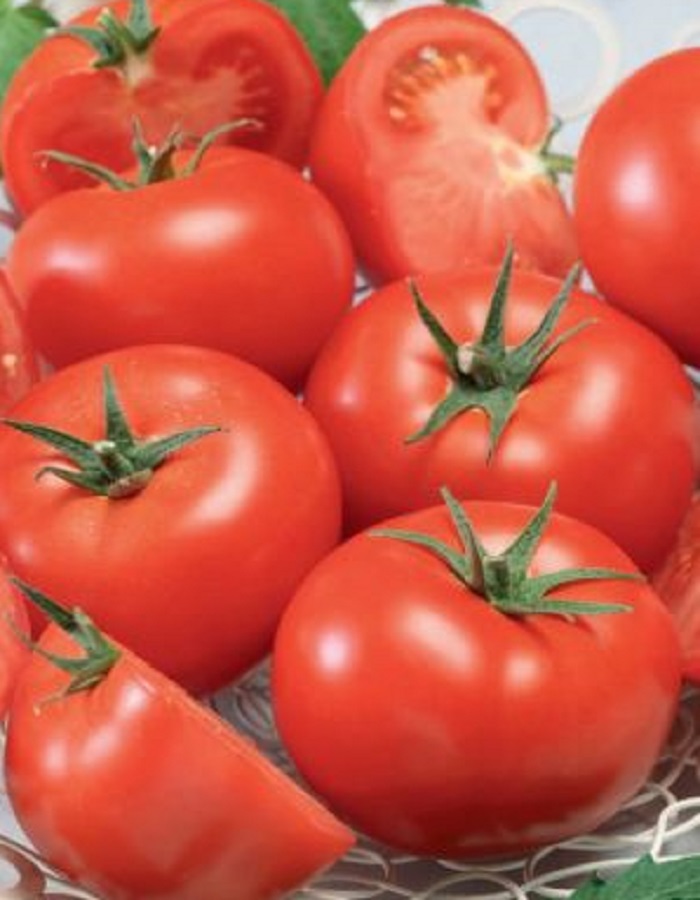 Томат Непасынкующийся Алый (УД) 20 шт. цв.п. семена томат непасынкующийся сливовидный 20 шт