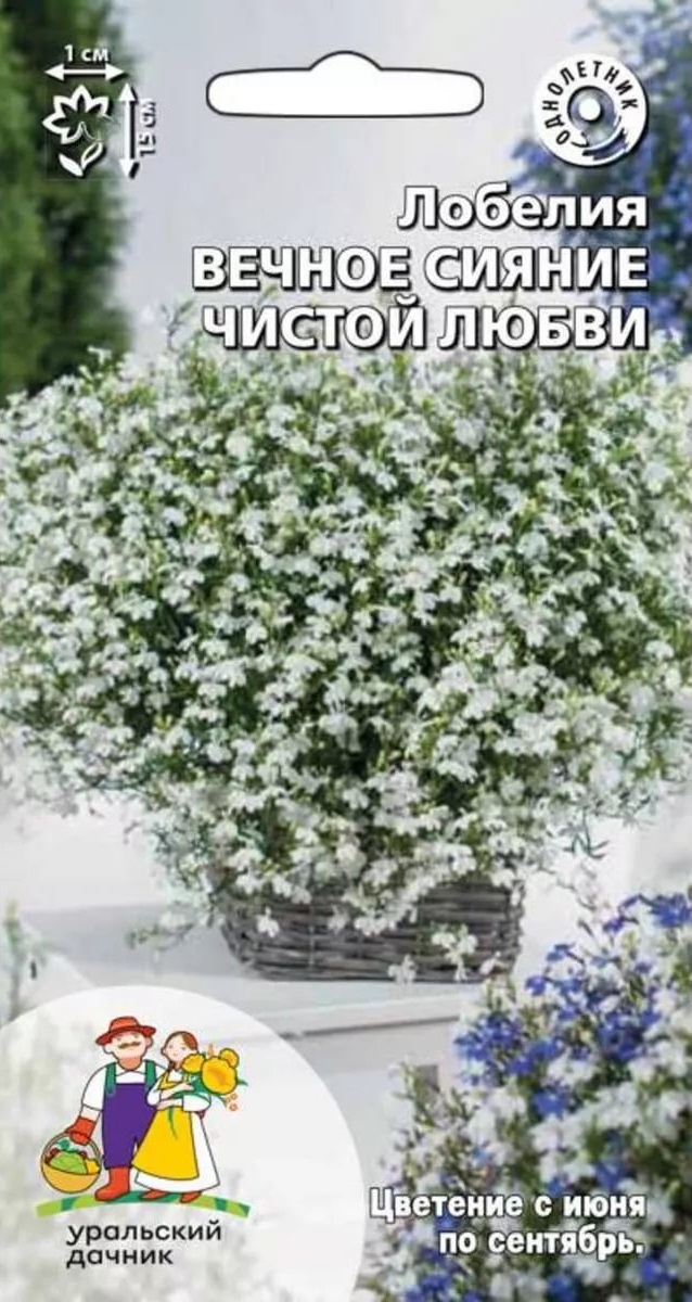 

Лобелия Вечное сияние чистой любви F1 (УД) 0,05 гр цв п