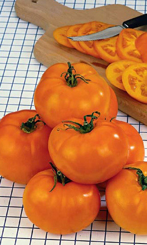 Томат Мармеладный (Марс)(УД) 1 гр. б.п.