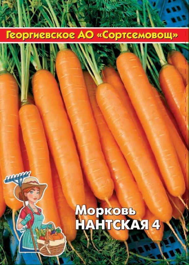 

Морковь Нантская 4 10 гр цв.п (Сортсемовощ)