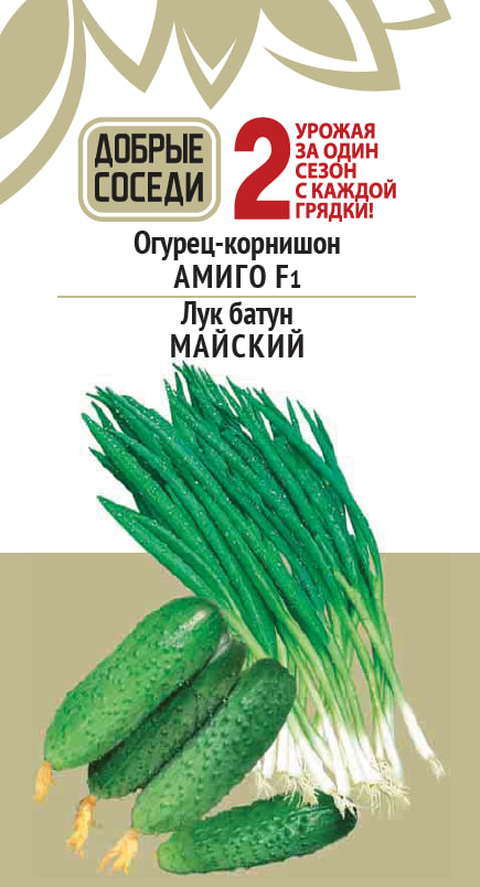 

Огурец АМИГО и Лук батун МАЙСКИЙ