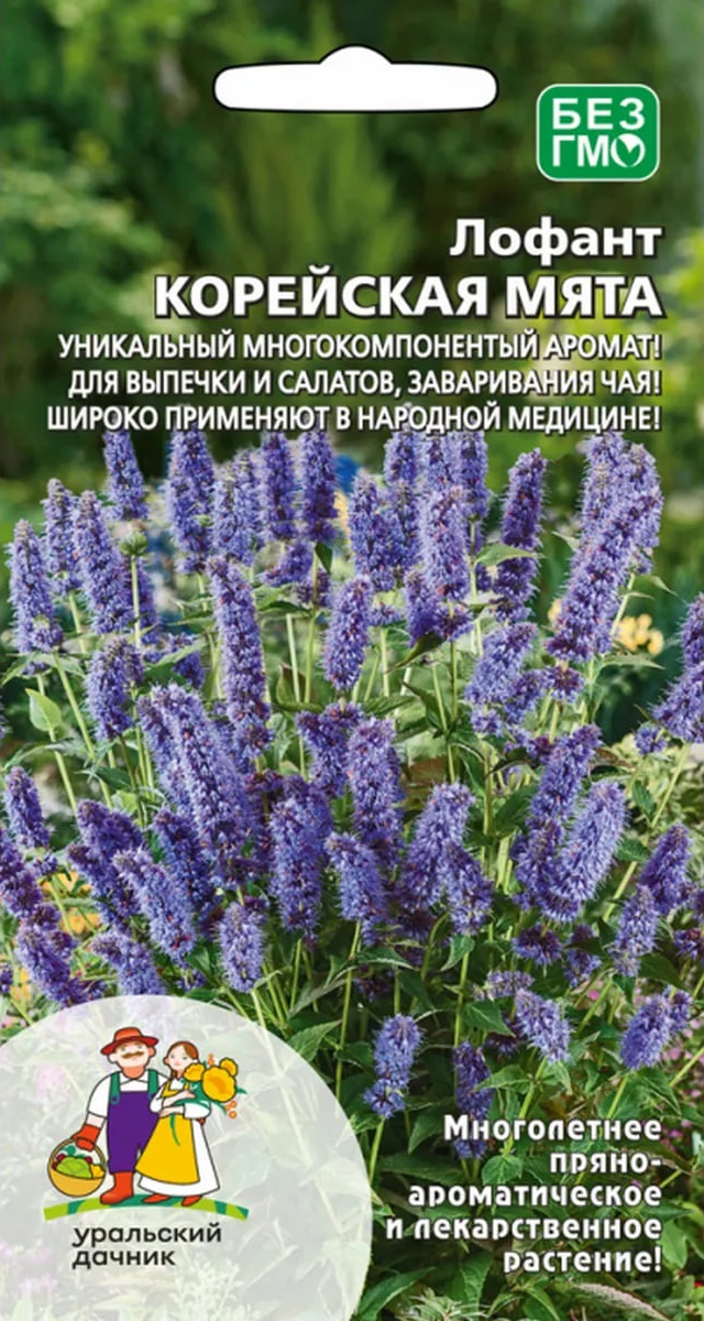 

Лофант Корейская мята (УД) 0,1 гр цв п