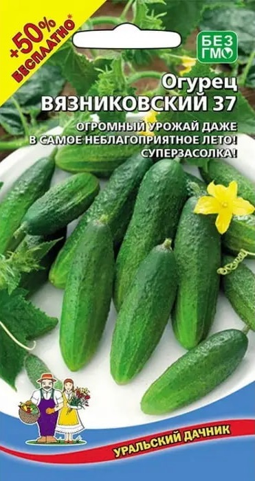 Огурец Вязниковский 37 (УД) 10 шт цв.п
