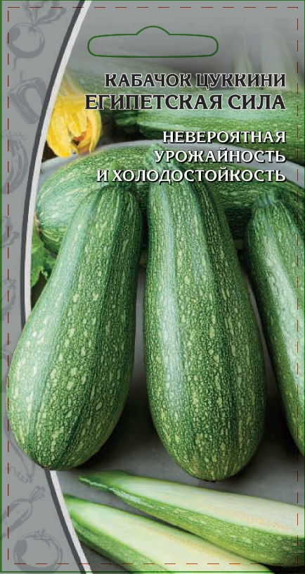 

Кабачок Цуккини Египетская сила 1 гр цв.п.
