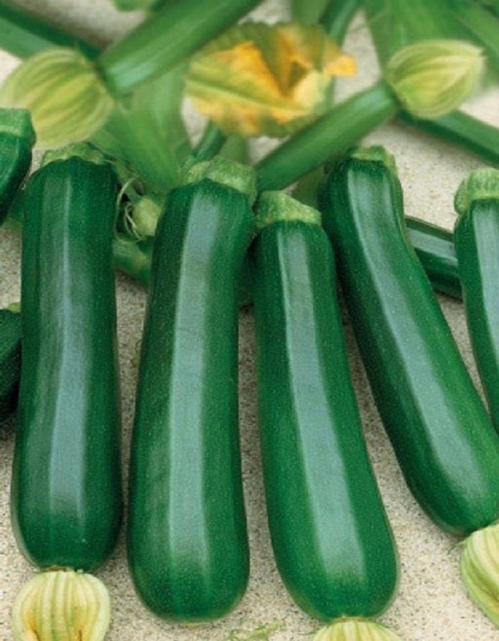 Кабачок Казерта - цукини (УД) 10 шт цв.п (Овощной рай) физалис овощной кондитер уд 20 шт