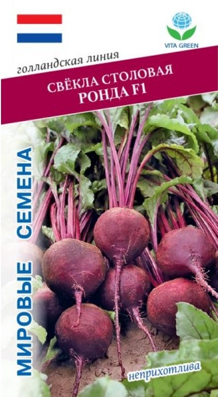Свекла Ронда F1 (Bejo Zaden) 1 гр, цв.п